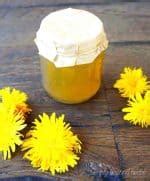 Wild and Delicious Dandelion Jelly recipe - SimplyBeyondHerbs