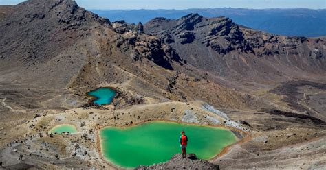 National Parks in New Zealand | Things to see and do in New Zealand