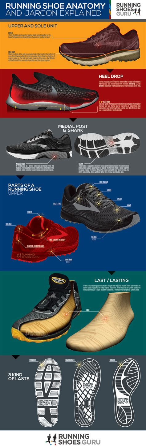 Running Shoes Explained [Infographic] | LaptrinhX