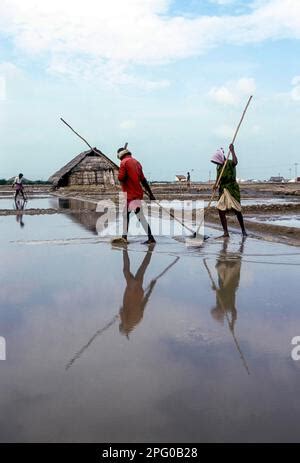 Workers at Salt Pan in Thoothukudi Tuticorin, Tamil Nadu, South India ...