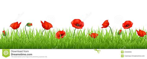 Field of poppies clipart 20 free Cliparts | Download images on Clipground 2024