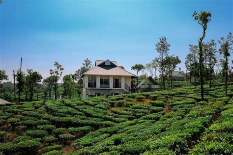 EDAYAN MEADOWS (Vagamon, Kerala) - Guesthouse Reviews, Photos, Rate Comparison - Tripadvisor