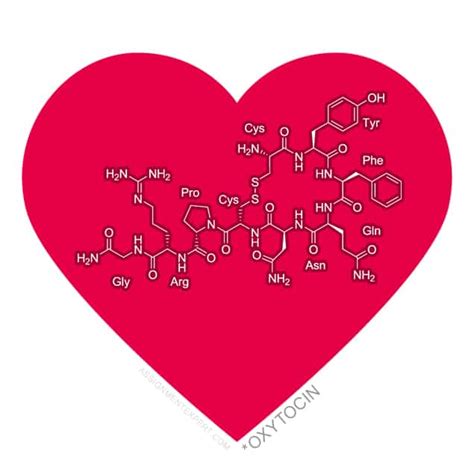 Chemical Structure Of Love