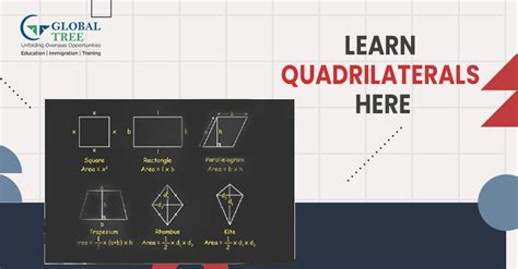 Quadrilaterals: Definition, Properties, Types, and Key Formulas