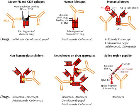 Pengertian Antiviral Adalah - BEST HOME DESIGN IDEAS