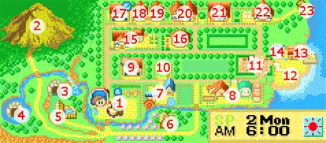 Harvest moon friends of mineral town grass - lockqes