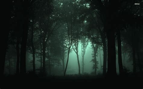Forest At Night Background