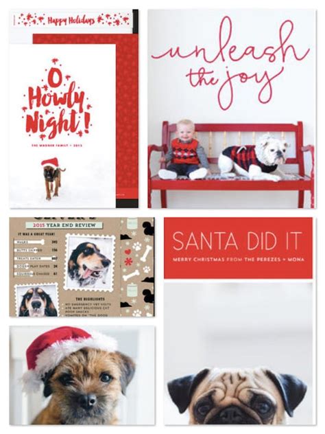 Best Pet Holiday Cards | Dog Lover Christmas Photo Cards | GreatGets.com