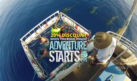 North Shore Shark Adventures has been safely operating since 2001. We are the original and most ...