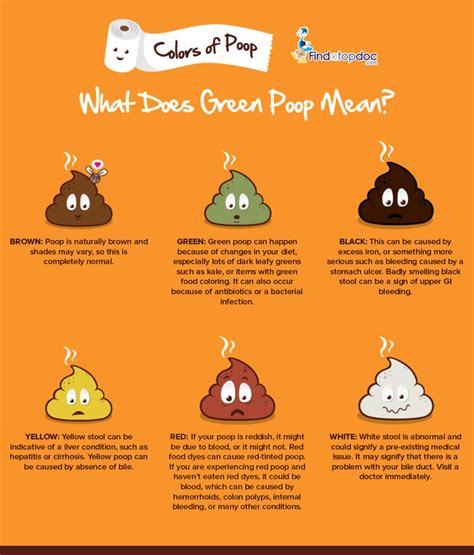 What this poop chart says about your health – Artofit