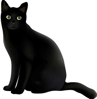 Black Cat clip art
