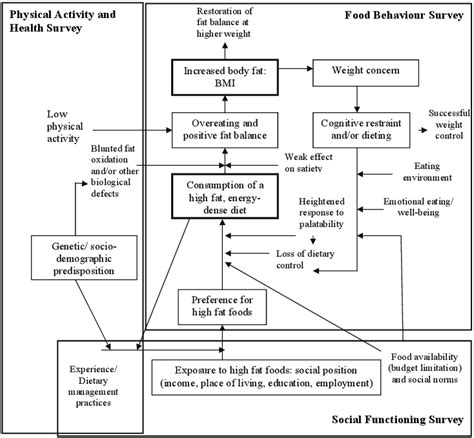 Human nutrition and health survey research model Source: Based on Mela,... | Download Scientific ...