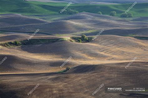 Aerial view of rolling landscape — the palouse, outdoors - Stock Photo ...