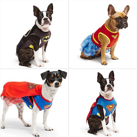 Superhero Costumes For Dogs | POPSUGAR Pets