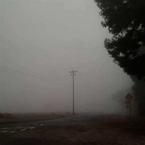 Foggy Weather | Foggy weather, Foggy, Foggy morning