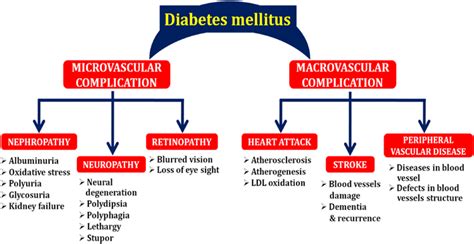 Diabetes mediated micro- and macrovascular complications | Download Scientific Diagram