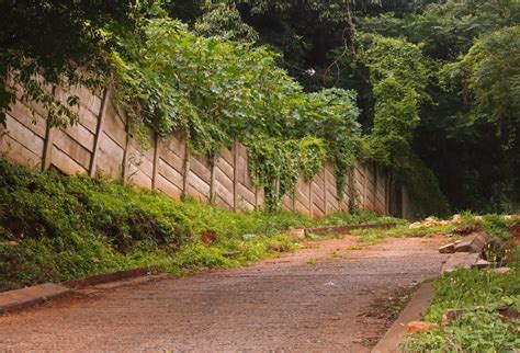 Tarred Road With Wall & Vegetation Free Stock Photo - Public Domain ...