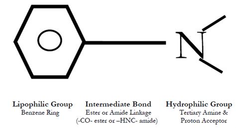 Local Anesthetics Mnemonic | Epomedicine