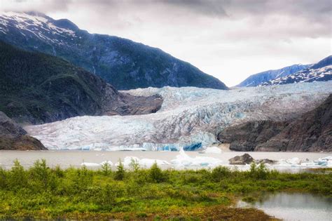 Why Is the Tongass National Forest So Important?