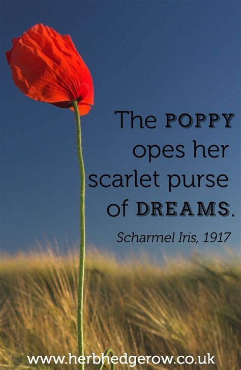 Poppy Quotes. QuotesGram