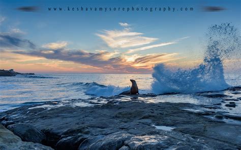 La Jolla Cove, San Diego, USA