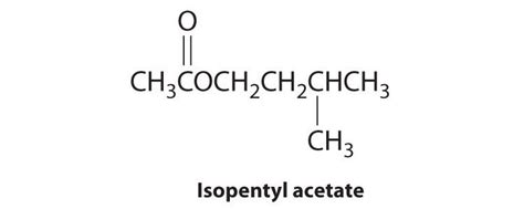 Structure Of Isopentyl Acetate