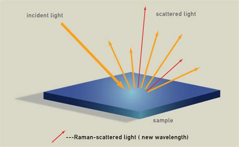 Raman Spectroscopy