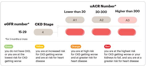 Stage 4 Chronic Kidney Disease (CKD) | National Kidney Foundation