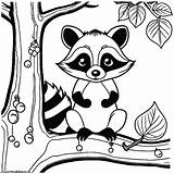 Raccoon With Acorn coloring page Lulu Pages sketch template