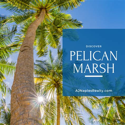 The Complete Guide to Pelican Marsh in Naples, FL - Naples Florida Real ...