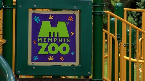 Memphis Zoo offering free tickets to Memphis Restaurant Association members