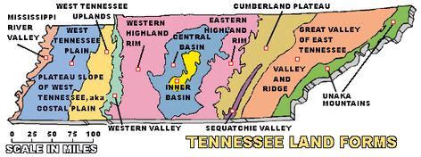 Tennessee Topography Map (32k)