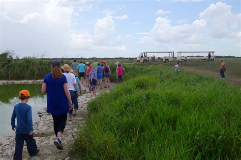 Visiting the Alligators at Everglades National Park - Chase the Horizon ...