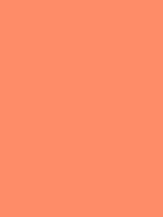 Salmon / #ff8c69 hex color