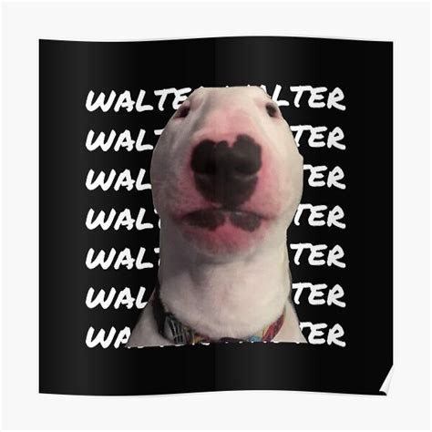 "WALTER" Poster by genzbarbietingz | Redbubble