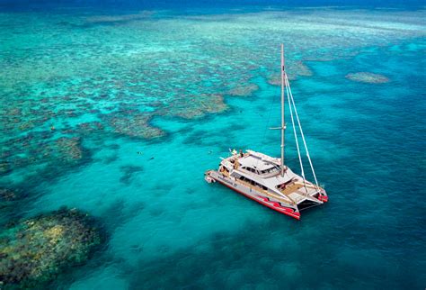 Great Barrier Reef Tours | Cairns Award Winning Dive & Snorkel Trip | Very Popular | Visit 2 ...