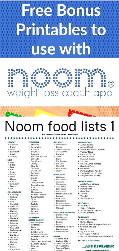 Noom Meal Plan Printable - PrintableDietPlan.com