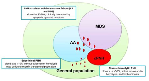 JCM | Free Full-Text | Difficult Cases of Paroxysmal Nocturnal ...