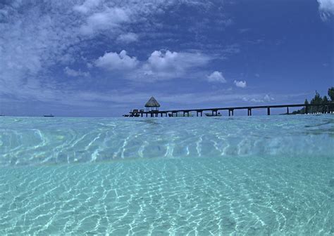 Beautiful Beach Landscape In Maldives | Free Photo - rawpixel