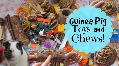 Homemade Guinea Pig Chew Toys | Wow Blog