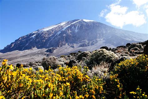 Mount Kilimanjaro Lemosho Route 9 Day Climb - World Adventure Tours