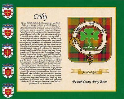 IRISH COUNTY TARTAN & SURNAME HISTORY PRINT 10" x 8" & FREE GIFT New ...