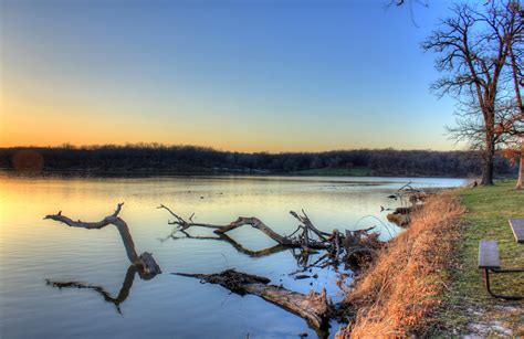 Logs in the Water at Rock Cut State Park, Illinois image - Free stock ...