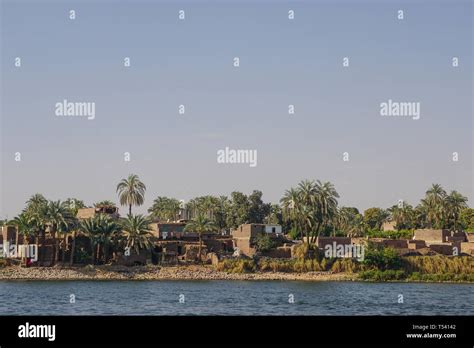 Nile River, Egypt: Houses and palm trees line the east bank of the Nile ...