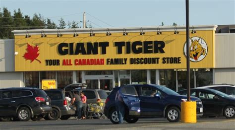 Giant Tiger Survey @ www.gianttiger.com survey - Surveys Info