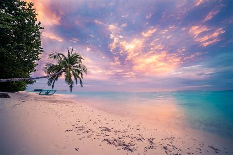 Tropical Beach Sunset Desktop Wallpaper