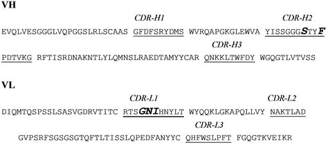 Anti-IL-1beta humanized monoclonal antibody, preparation method and application thereof - Eureka ...