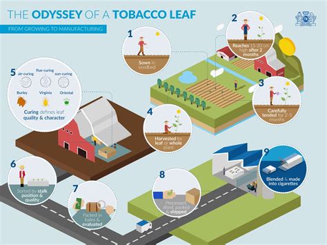 Tobacco Farming | PMI - Philip Morris International