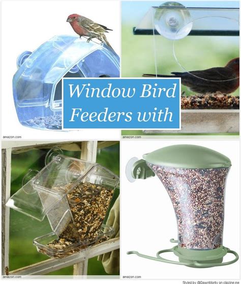 28 best images about Window Bird Feeders with Suction Cups on Pinterest ...