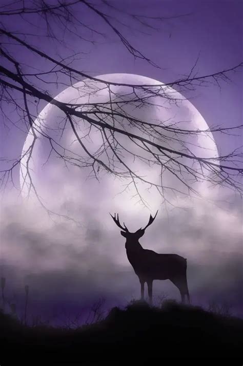 90 Charming Moonlight Photography Ideas and Tips